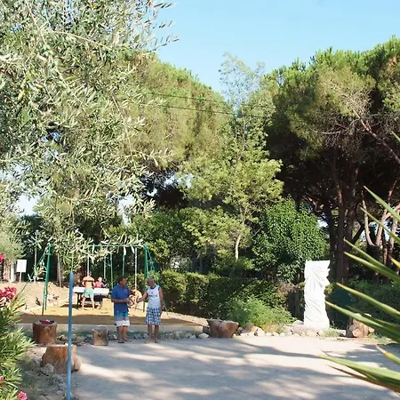 Campsite Camping Plateau Des Chasses