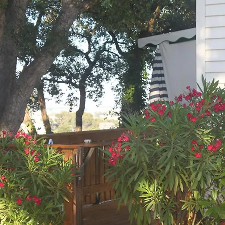 Camping Plateau Des Chasses Campsite 4*
