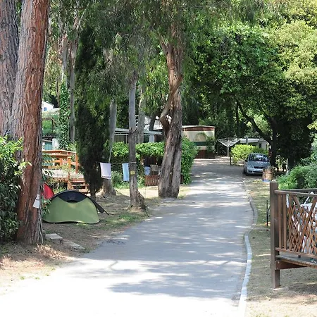 Camping Plateau Des Chasses Mandelieu-la-Napoule