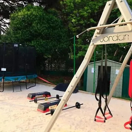 Campsite Camping Plateau Des Chasses 4*