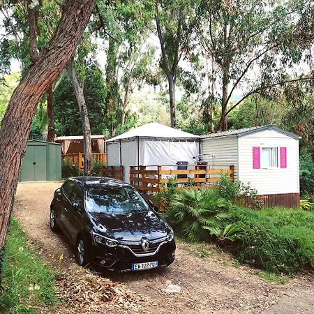Campsite Camping Plateau Des Chasses Mandelieu-la-Napoule